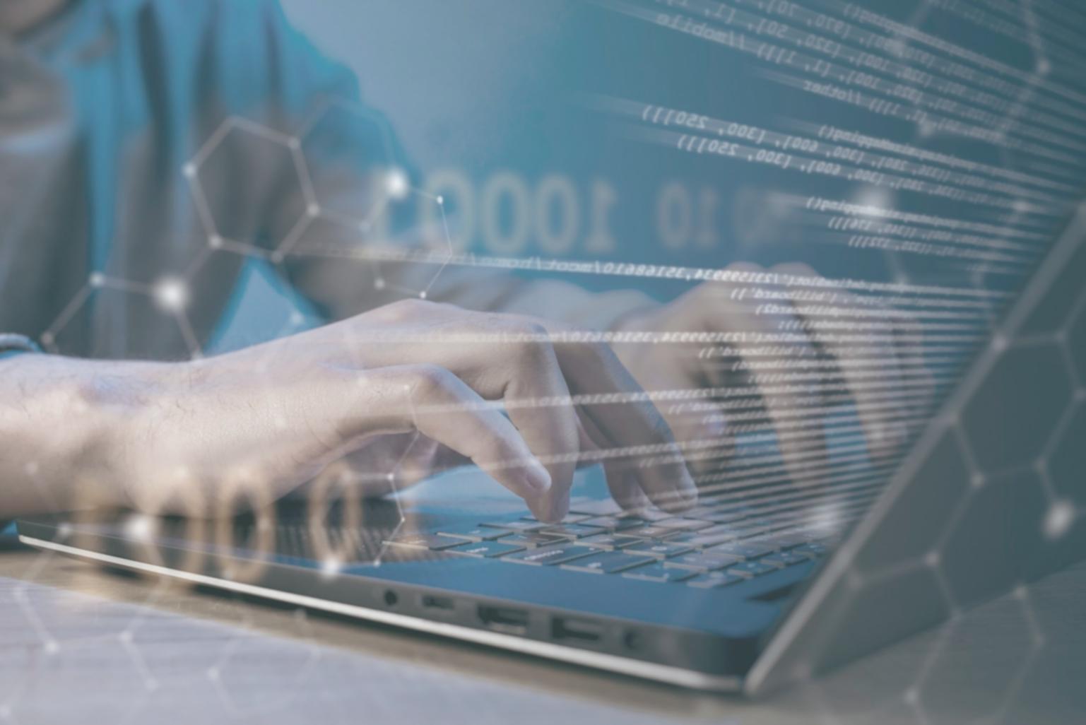 Software Licensing and Intellectual Property Protection